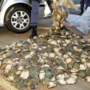 Gansbaai Gevang met R1m se Perlemoen 1_1